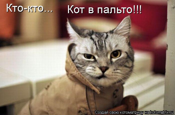 Кто-кто... Кот в пальто!!! Кто-кто... Кот в пальто!!!... Котоматрица: Кто-кто... Кот в пальто!!! Кто-кто... Кот в пальто!!!