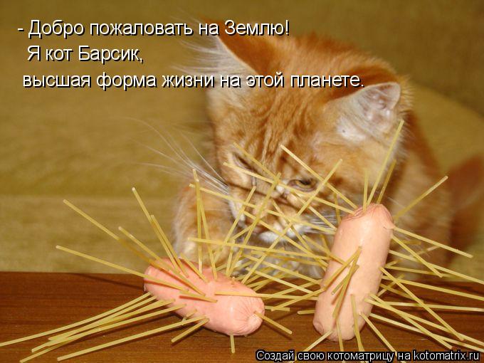 - Добро пожаловать на Землю! Я кот Барсик, высшая форма жизни на этой планете.... Котоматрица: - Добро пожаловать на Землю! Я кот Барсик, высшая форма жизни на этой планете.