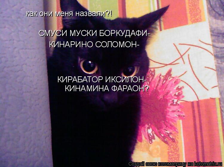 как они меня назвали?! КИНАМИНА ФАРАОН? СМУСИ МУСКИ БОРКУДАФИ- КИРАБАТОР ИКСИЛОН- КИНАРИНО СОЛОМОН-... Котоматрица: как они меня назвали?! КИНАМИНА ФАРАОН? СМУСИ МУСКИ БОРКУДАФИ- КИРАБАТОР ИКСИЛОН- КИНАРИНО СОЛОМОН-