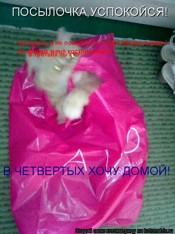 ПОСЫЛОЧКА,УСПОКОЙСЯ! -вопервых,я не посылочка а мурз валерьянович! во вторых,меня кострировали! в тре... Котоматрица: ПОСЫЛОЧКА,УСПОКОЙСЯ! -вопервых,я не посылочка а мурз валерьянович! во вторых,меня кострировали! в третьих ты кто! В ЧЕТВЕРТЫХ ХОЧУ ДОМОЙ!