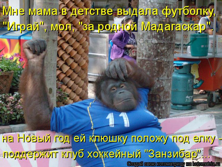 Котоматрица: Мне мама в детстве выдала футболку,  "Играй", мол, "за родной Мадагаскар". на Новый год ей клюшку положу под елку - поддержит клуб хоккейный "За