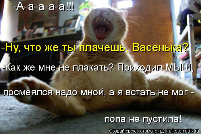 -А-а-а-а-а!!! -Ну, что же ты плачешь, Васенька? -Как же мне не плакать? Приходил МЫШ, посмеялся над... Котоматрица: -А-а-а-а-а!!! -Ну, что же ты плачешь, Васенька? -Как же мне не плакать? Приходил МЫШ, посмеялся надо мной, а я встать не мог - попа не пустила!