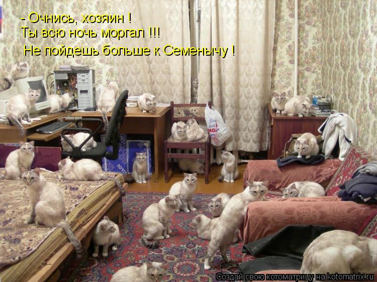 Котоматрица: - Очнись, хозяин ! Ты всю ночь моргал !!! Не пойдешь больше к Семенычу !