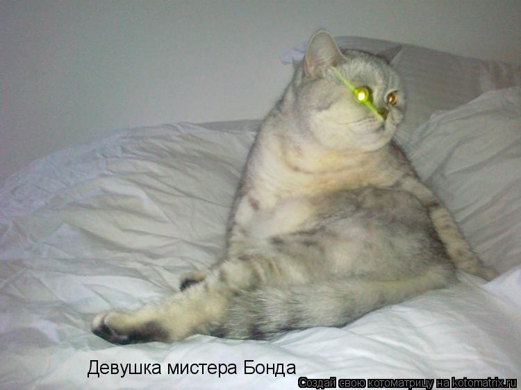 Девушка мистера Бонда... Котоматрица: Девушка мистера Бонда