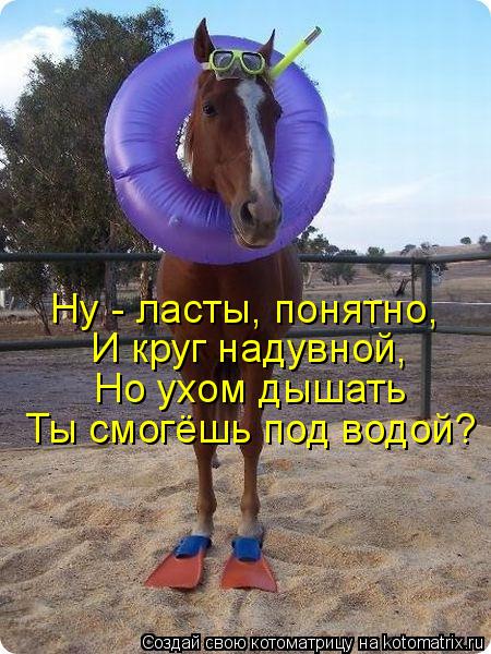 Котоматрица: Ну - ласты, понятно, И круг надувной, Но ухом дышать Ты смогёшь под водой?