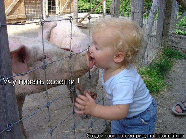 Учу лизать розетки !... Котоматрица: Учу лизать розетки !