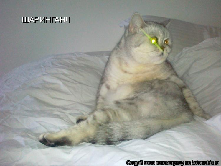 ШАРИНГАН!!... Котоматрица: ШАРИНГАН!!