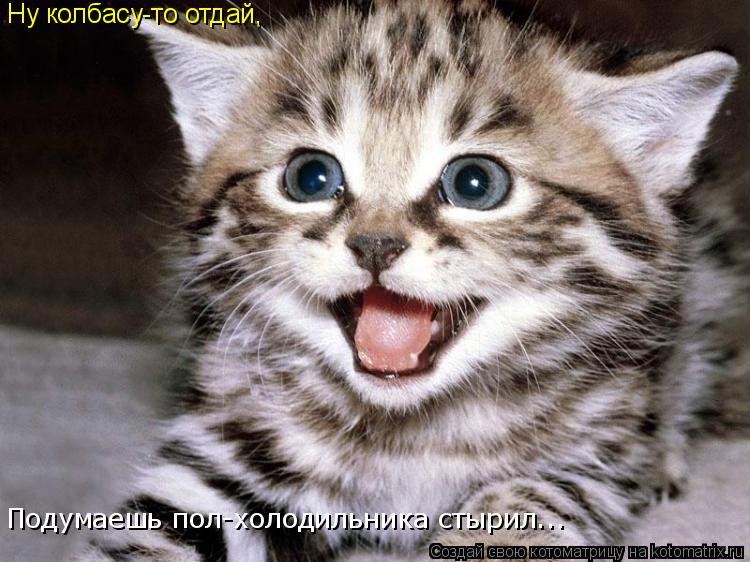 Ну колбасу-то отдай, Подумаешь пол-холодильника стырил...... Котоматрица: Ну колбасу-то отдай, Подумаешь пол-холодильника стырил...