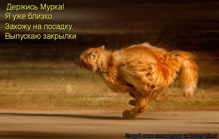 Держись Мурка! Я уже близко, Захожу на посадку, Выпускаю закрылки... Котоматрица: Держись Мурка! Я уже близко, Захожу на посадку, Выпускаю закрылки