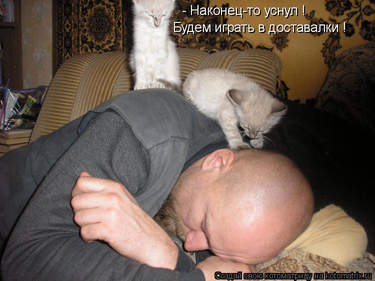 Котоматрица: - Наконец-то уснул ! Будем играть в доставалки !