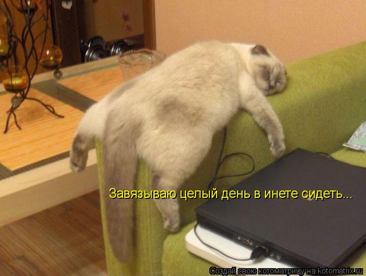 Котоматрица: Завязываю целый день в инете сидеть...