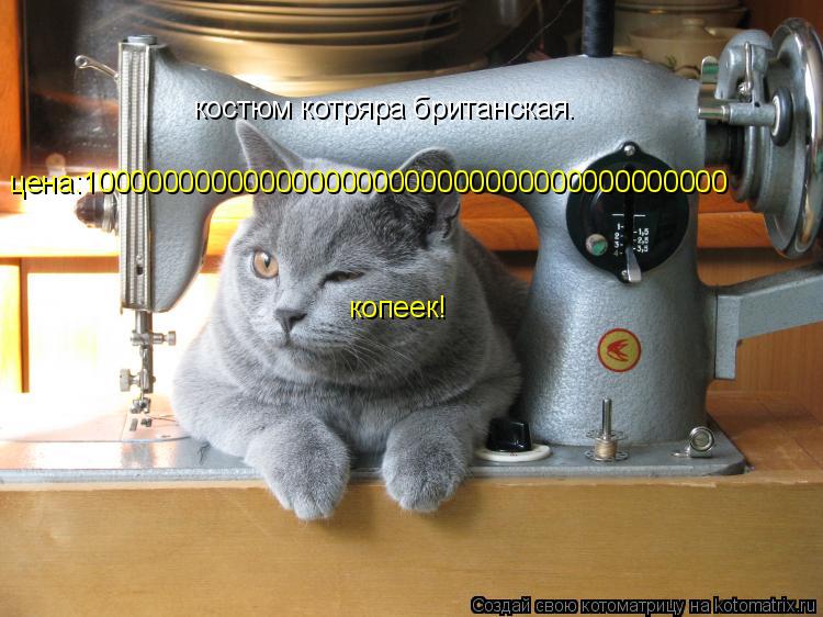 Котоматрица: костюм котряра британская. цена:1000000000000000000000000000000000000000 копеек!