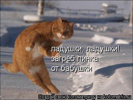 Котоматрица: ладушки, ладушки! загрёб пинка от бабушки от бабушки