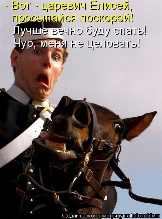 Котоматрица: - Вот - царевич Елисей, просыпайся поскорей! - Лучше вечно буду спать! Чур, меня не целовать!