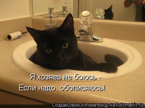 Котоматрица: Я хозяев не боюсь -  Если надо, обописяюсь!