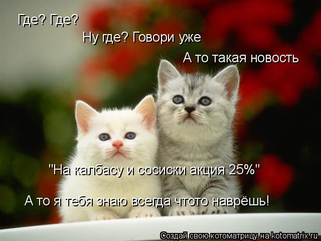 Котоматрица: Где? Где? Ну где? Говори уже А то такая новость  "На калбасу и сосиски акция 25%" А то я тебя знаю всегда чтото наврёшь!