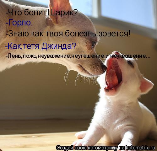 Котоматрица: -Что болит,Шарик? -Горло. -Знаю как твоя болезнь зовется! -Как,тетя Джинда? -Лень,ложь,неуважение,неутешение и неуквашение...