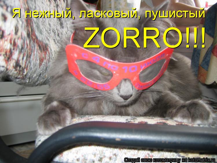 Котоматрица: Я нежный, ласковый, пушистый ZORRO!!!