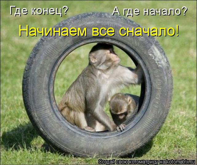 Котоматрица: Где конец? А где начало? Начинаем все сначало!