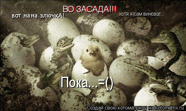 Котоматрица: ВО ЗАСАДА!!! ВО ЗАСАДА!!! вот мама злючкА! хотя я сам виноват... Пока...=()