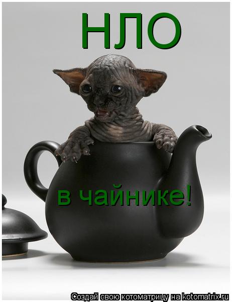 Котоматрица: НЛО  в чайнике!