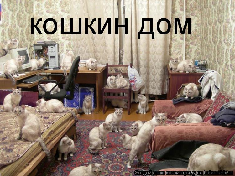 Котоматрица: кошкин дом