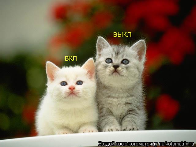 Котоматрица: вкл выкл