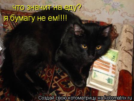 Котоматрица: что значит на еду? я бумагу не ем!!!!