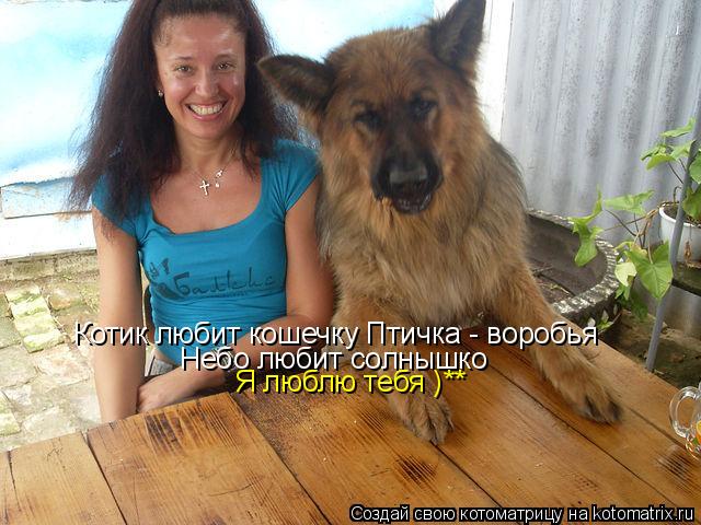 Котоматрица: Котик любит кошечку Птичка - воробья   Небо любит солнышко   Я люблю тебя )**