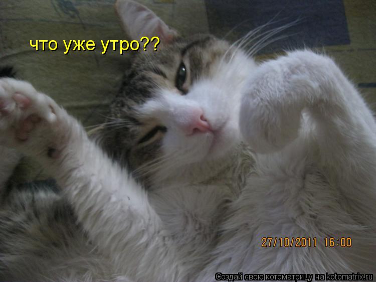 Котоматрица: что уже утро??