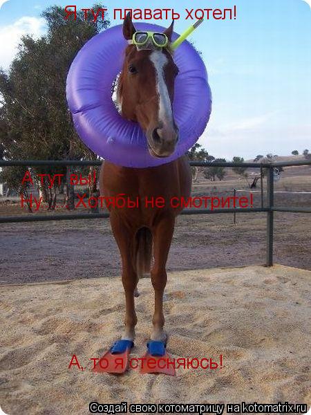 Котоматрица: Я тут плавать хотел! А тут вы! Ну...... Хотябы не смотрите! А, то я стесняюсь!