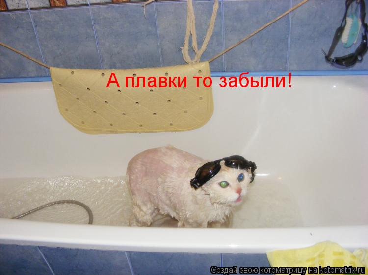 Котоматрица: А плавки то забыли!