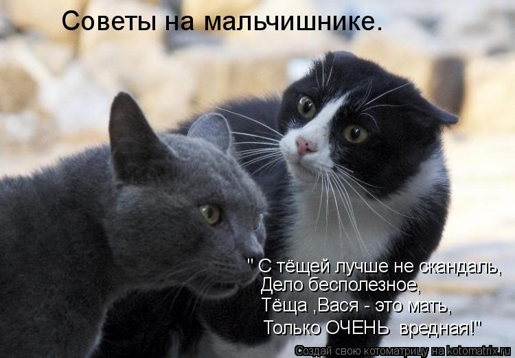 Советы на мальчишнике. " С тёщей лучше не скандаль, Дело бесполезное, Только ОЧЕНЬ вредная!" Тёща ,В... Котоматрица: Советы на мальчишнике. " С тёщей лучше не скандаль, Дело бесполезное, Только ОЧЕНЬ вредная!" Тёща ,Вася - это мать,