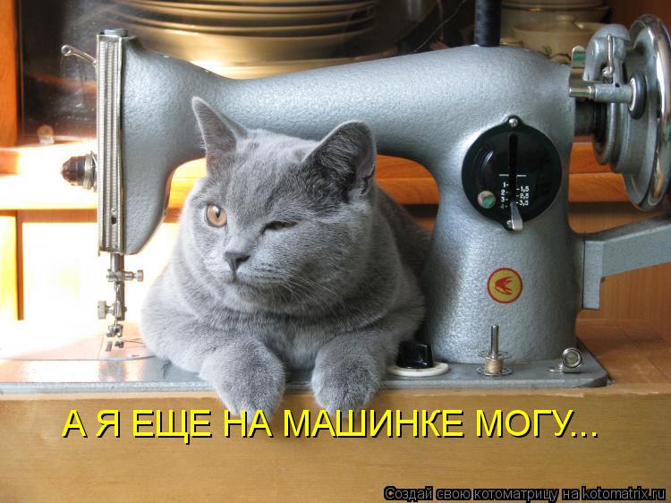Котоматрица: А Я ЕЩЕ НА МАШИНКЕ МОГУ...