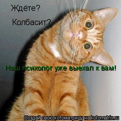 Котоматрица: Ждёте? Колбасит? Наш психолог уже выехал к вам!