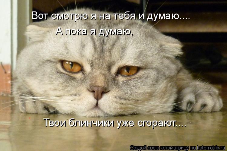 Котоматрица: Вот смотрю я на тебя и думаю.... А пока я думаю, Твои блинчики уже сгорают....