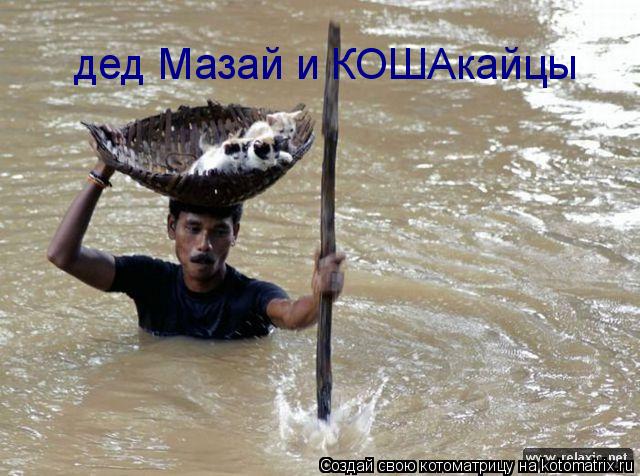 Котоматрица: дед Мазай и КОШАкайцы