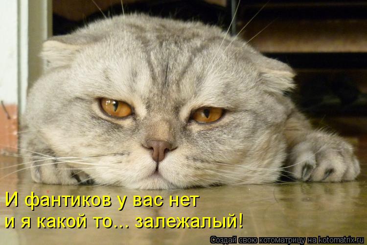 Котоматрица: И фантиков у вас нет  и я какой то... залежалый!