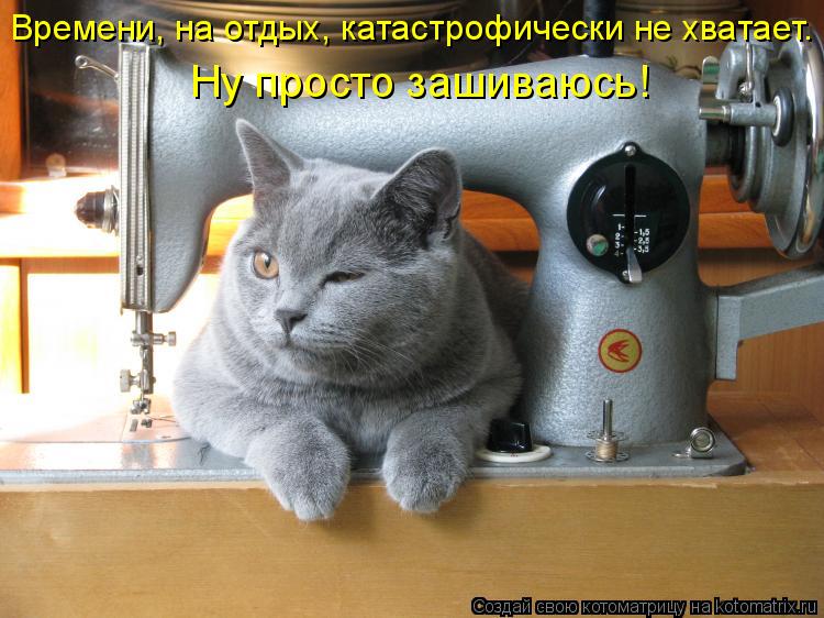 Котоматрица: Времени, на отдых, катастрофически не хватает.  Ну просто зашиваюсь!