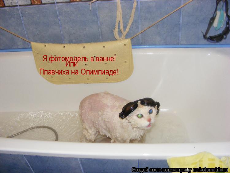 Я фотомодель в ванне! Или Плавчиха на Олимпиаде!... Котоматрица: Я фотомодель в ванне! Или Плавчиха на Олимпиаде!