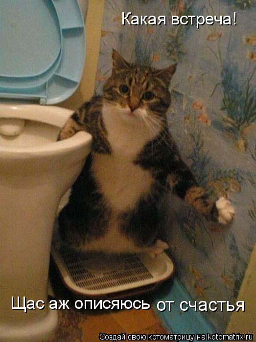 Какая встреча! Щас аж описяюсь от счастья... Котоматрица: Какая встреча! Щас аж описяюсь от счастья