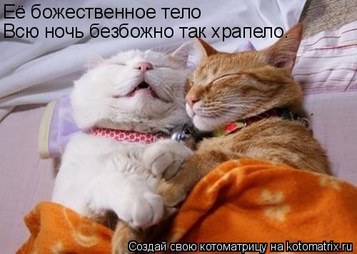 Её божественное тело Всю ночь безбожно так храпело.... Котоматрица: Её божественное тело Всю ночь безбожно так храпело.