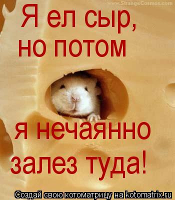 Я ел сыр, но потом я нечаянно залез туда!... Котоматрица: Я ел сыр, но потом я нечаянно залез туда!