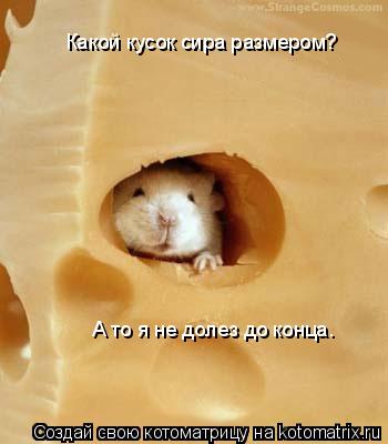 Какой кусок сира размером? А то я не долез до конца.... Котоматрица: Какой кусок сира размером? А то я не долез до конца.
