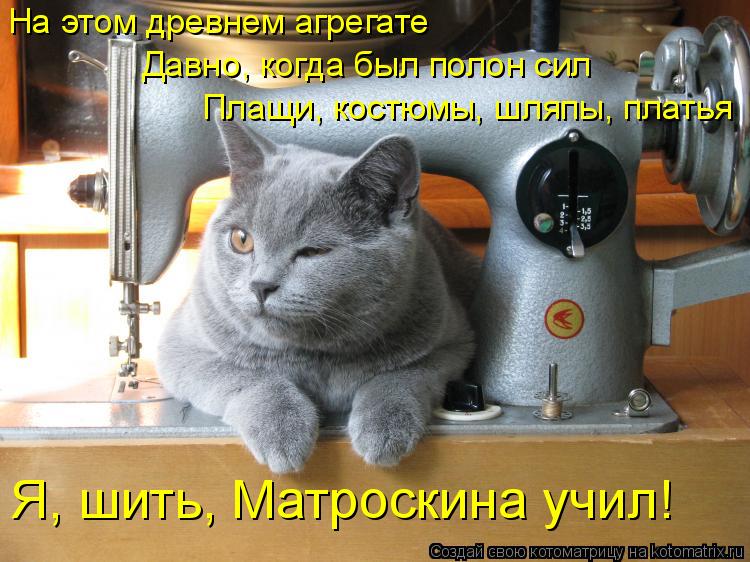 Котоматрица: На этом древнем агрегате  Давно, когда был полон сил Плащи, костюмы, шляпы, платья Я, шить, Матроскина учил!