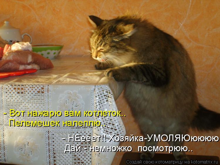 - Вот нажарю вам котлеток.. Пелемешек налеплю.. Дай - немножко посмотрюю.. - НЕееет!! Хозяйка-УМОЛЯ... Котоматрица: - Вот нажарю вам котлеток.. Пелемешек налеплю.. Дай - немножко посмотрюю.. - НЕееет!! Хозяйка-УМОЛЯЮюююю