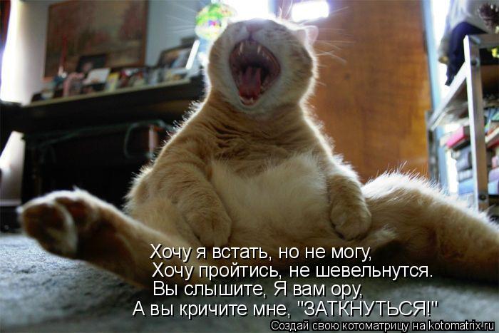 Хочу я встать, но не могу, Хочу пройтись, не шевельнутся. Вы слышите, Я вам ору, А вы кричите мне, "З... Котоматрица: Хочу я встать, но не могу, Хочу пройтись, не шевельнутся. Вы слышите, Я вам ору, А вы кричите мне, "ЗАТКНУТЬСЯ!"