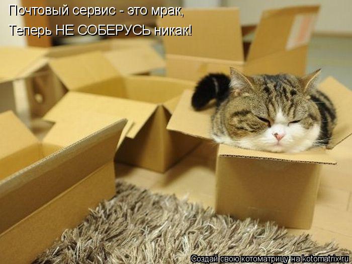 Котоматрица: Почтовый сервис - это мрак, Теперь НЕ СОБЕРУСЬ никак!