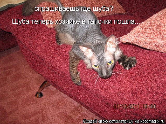 Котоматрица: спрашиваешь где шуба? Шуба теперь хозяйке в тапочки пошла...