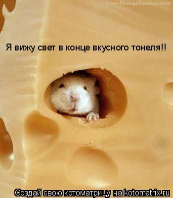 Котоматрица: Я вижу свет в конце вкусного тонеля!!